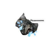 580242932