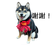 580249888