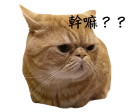 580249899