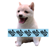580249900
