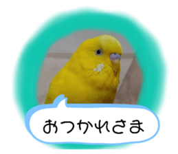 580251662