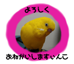 580251669