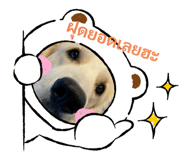 580261466