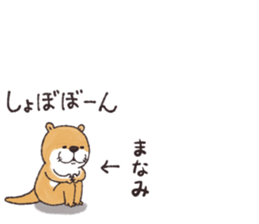 58028981
