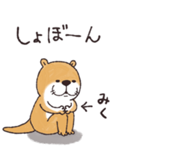 58030068