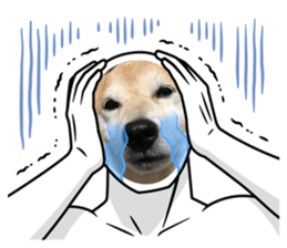 580300851