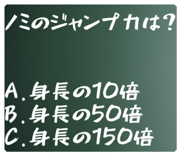 580370982