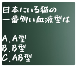 580370986