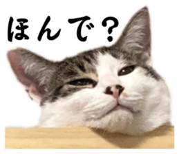 580388219