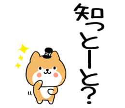 580428995