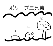 580439092