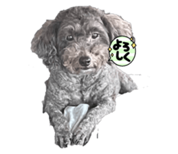 580467351