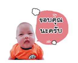 58047858