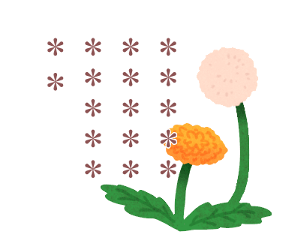 580506028