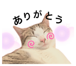 580510186