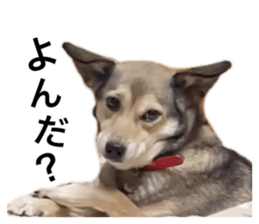580510209