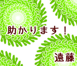 58053479