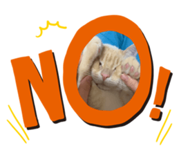 580548216