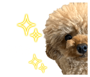 580548430