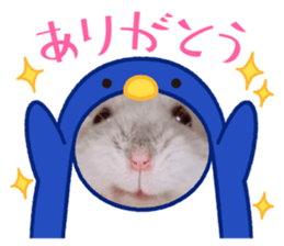 580632820