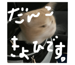 580636867