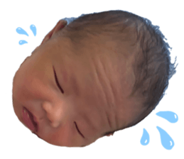 580637784