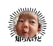 580650764