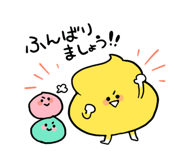 580656558