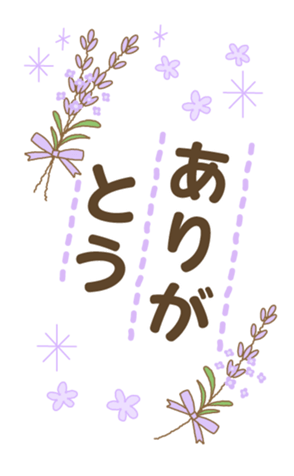 580693306