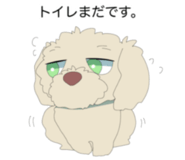 580728091