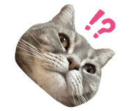 580732720