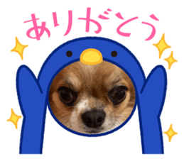 580734943