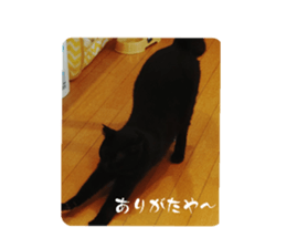 580752640