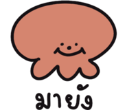 580753547