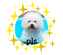 580755377