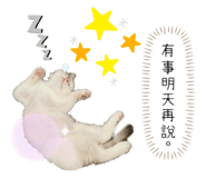 580759994