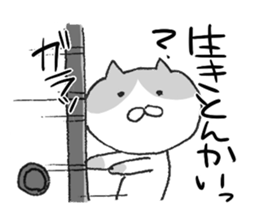 5807708