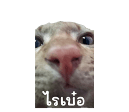 580776963