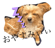 580796241