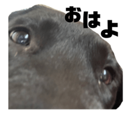 580819081