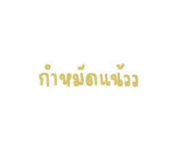 580853394
