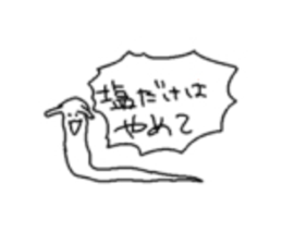580920562