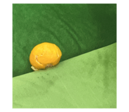 580940849