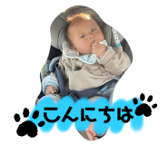 580951114