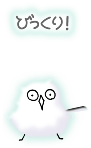 581028060