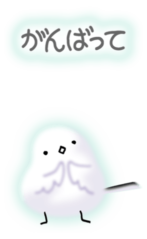 581028066