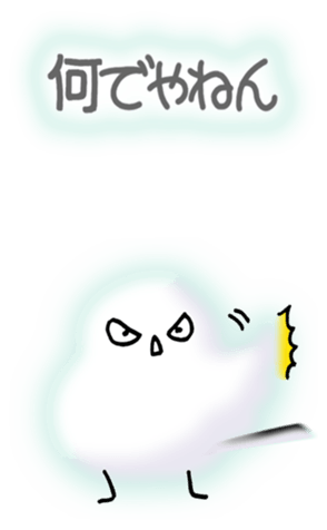 581028078