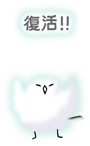 581028081