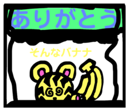 581064509