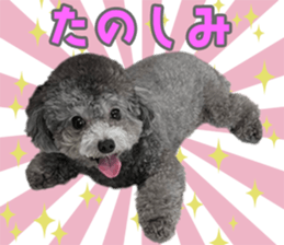 581071819